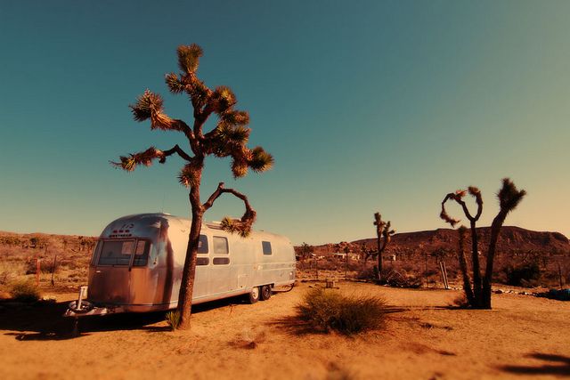 The meme is a picture of an Airstream trailer parked in the middle of a desert, with a Joshua Tree branch leaning against the side of the trailer. The text "I'm not arguing, I'm just explaining why I'm right" appears in a speech bubble above the tree's branch. The image is meant to be humorous, implying that the person in the trailer is being stubborn and argumentative.